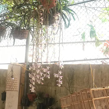 Minh Ngoc Homestay Dien Bien Phu Ban Him Lom Экстерьер фото